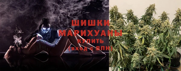 прущие грибы Арсеньев