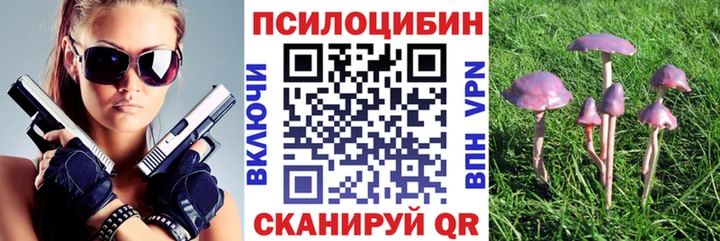 Псилоцибиновые грибы мицелий  Макушино 