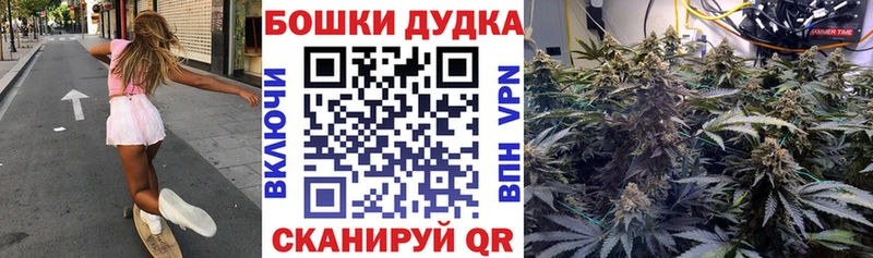 как найти наркотики  Макушино  Каннабис план 